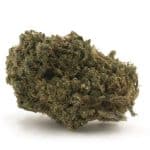 Cookie Glue A - Hybrid