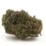 Cookie Glue A - Hybrid