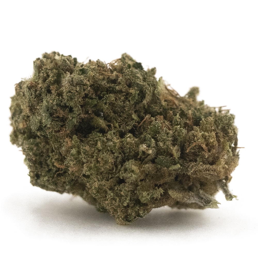 buy-weed-online-dispensary-cookie-glue-a-hybrid-nug.jpg Cookie Glue A - Hybrid - Image 1