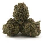 Cookie Glue A - Hybrid - Image 2