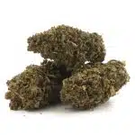 Raspberry Diesel A - Sativa - Image 2