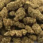 Raspberry Diesel A - Sativa - Image 3