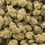 Super Silver Haze AA - Sativa - Image 3