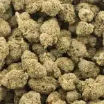 Super Silver Haze AA - Sativa - Image 3