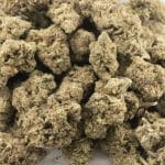 White Death AA - Indica - Image 3