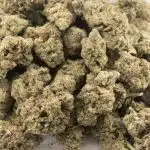 White Death AA - Indica - Image 3