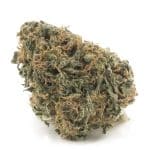 Blueberry G-13 AA - Indica
