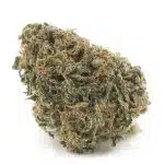 Blueberry G-13 AA - Indica