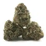 Blueberry G-13 AA - Indica - Image 2