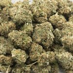 Blueberry G-13 AA - Indica - Image 3