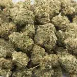 Blueberry G-13 AA - Indica - Image 3