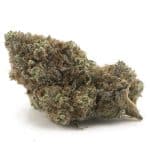Wholesale - Dolce Gelato - AAA - Image 3