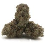 Wholesale - Dolce Gelato - AAA - Image 2