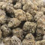 Dosi Sherbet AAAA - Indica - Image 3