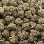 Grand Doggy Purps AA - Indica - Image 3
