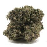 Predator Pink - AAA - Indica - Image 2