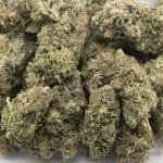 Predator Pink - AAA - Indica - Image 3