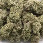 Predator Pink - AAA - Indica - Image 3