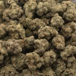Snow White AA - Indica - Image 3
