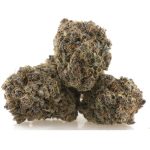 True Quads - Lady Boss - Hybrid (28 Grams) - Image 2