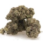 True Quads - Platinum Cookies - Hybrid (28 Grams) - Image 2