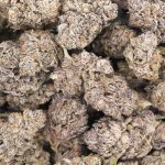 Purple Nuken Craft - Indica - Image 3