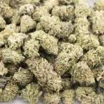 Animal Cookies AAA - Indica - Image 3