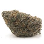 Blue MAC Craft - Indica