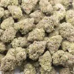 Papaya Punch AAAA - Indica - Image 3