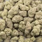 White Domina AAAA - Indica - Image 3