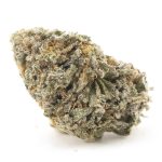 Apple Fritter AAAA - Hybrid
