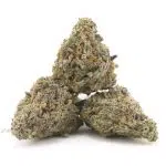 Apple Fritter AAAA - Hybrid - Image 2