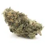 Cereal MAC AA - Indica