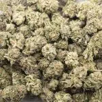 Cereal MAC AA - Indica - Image 3