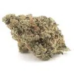 God's Green Crack AAA - Indica