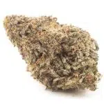 Key Lime Thai A - Hybrid