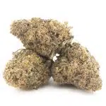 Key Lime Thai A - Hybrid - Image 2
