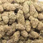Key Lime Thai A - Hybrid - Image 3