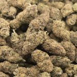 Obama Kush AA - Indica - Image 3