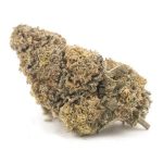 Strawberry Cough AA - Sativa