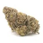 Strawberry Cough AA - Sativa