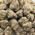 Dank Vader Craft - Indica - Image 3