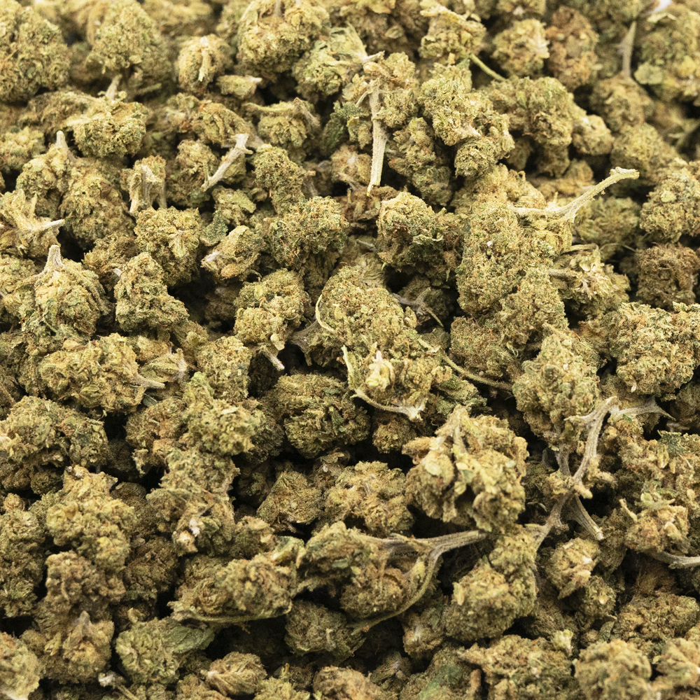 buy-weed-online-dispensary-dirty-girl-popcorn-a-sativa-wholesale.jpg Dirty Girl A Popcorn - Sativa - Image 1