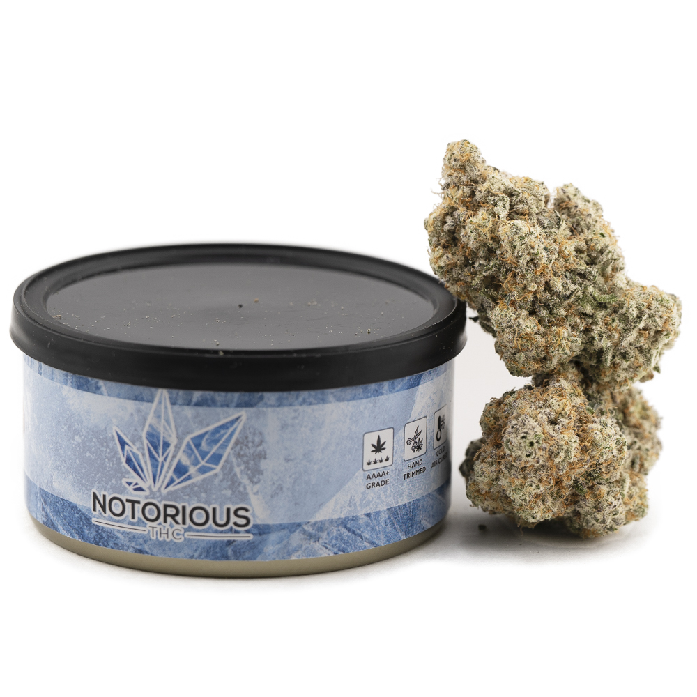 buy-weed-online-dispensary-notorious-thc-tuna-can-budzilla.jpg Notorious THC Craft - Budzilla (7 Grams) - Image 1