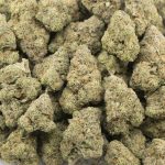 Royal ACDC - AAAA - Image 3