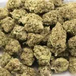 Cherry Mints A - Indica - Image 3