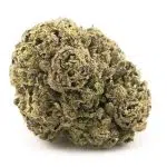 Chocolate Haze A - Sativa