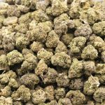 Chocolate Haze A - Sativa - Image 3