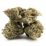 Northern Wreck AA - Indica - Image 2