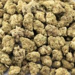 Strawberry Daiquiri A - Sativa - Image 3